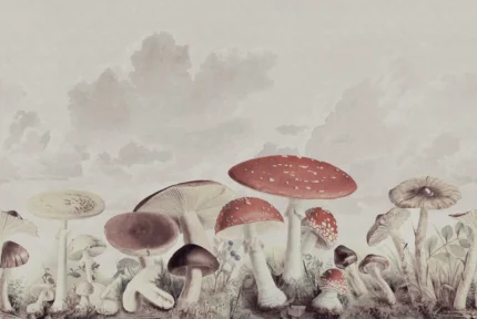 Mushrooms	Vintage