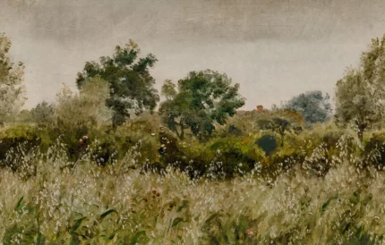 Oatfields, Summer, green | Extraordinary Wallpaper by Rebel Walls