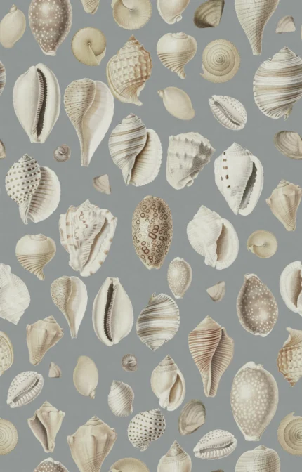 Ocean Shells Blue