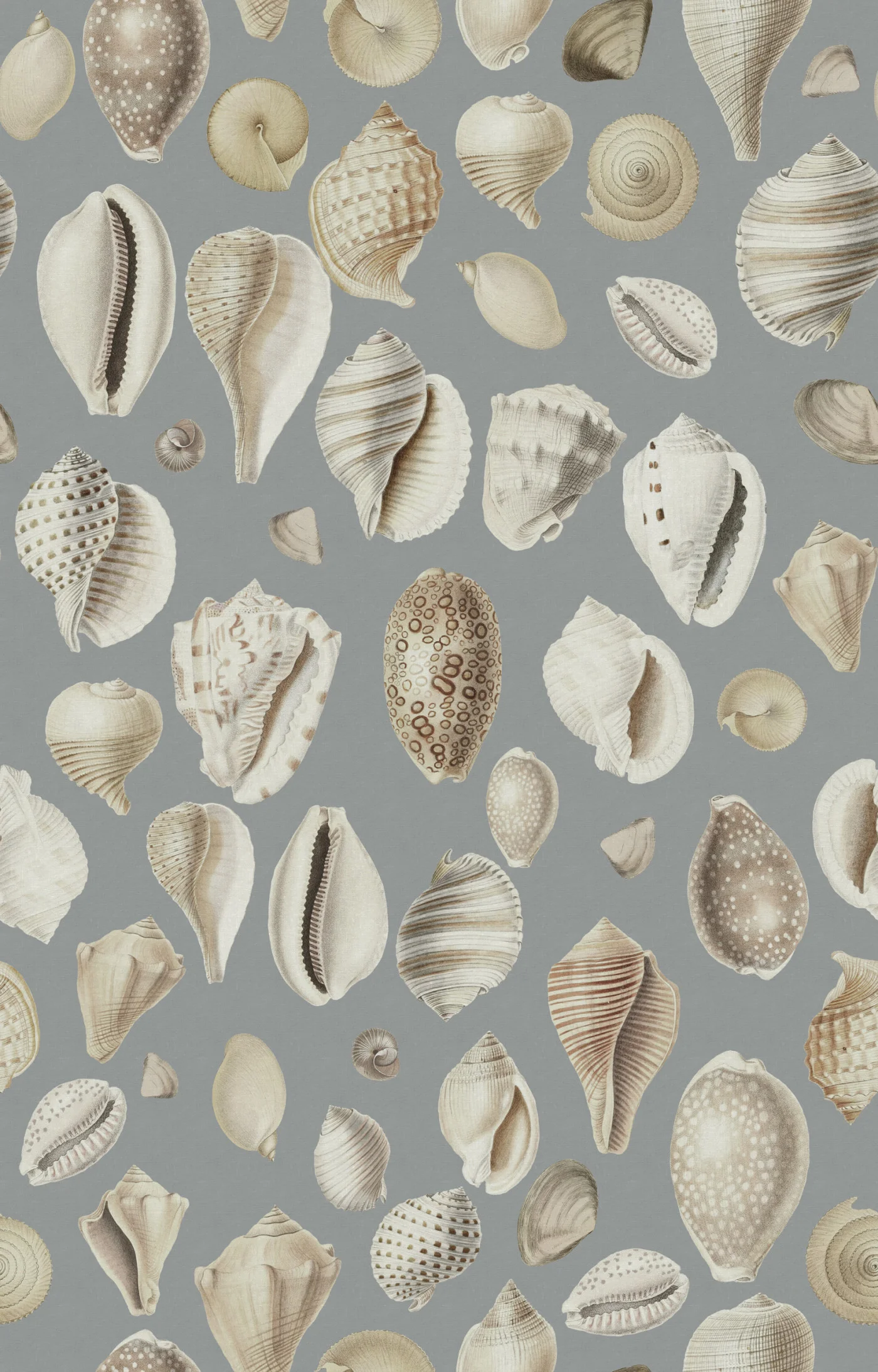 rebelwalls-ocean-shells-blue-r19683-flat Ocean Shells Blue Pops Rebel Walls Wallpaper R19683