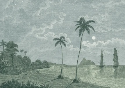 Palm Beach, Blue