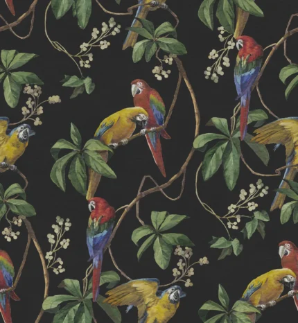 Parrots, Midnight