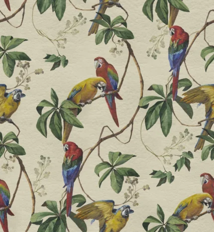 Parrots, Sand
