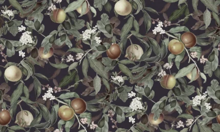Peach Valley Bold, Midnight
