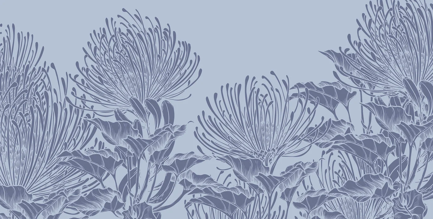 rebelwalls-protea-bloom-soft-blue-r21498-flat Protea Bloom, Soft Blue Shutterstock Rebel Walls Wallpaper R21498