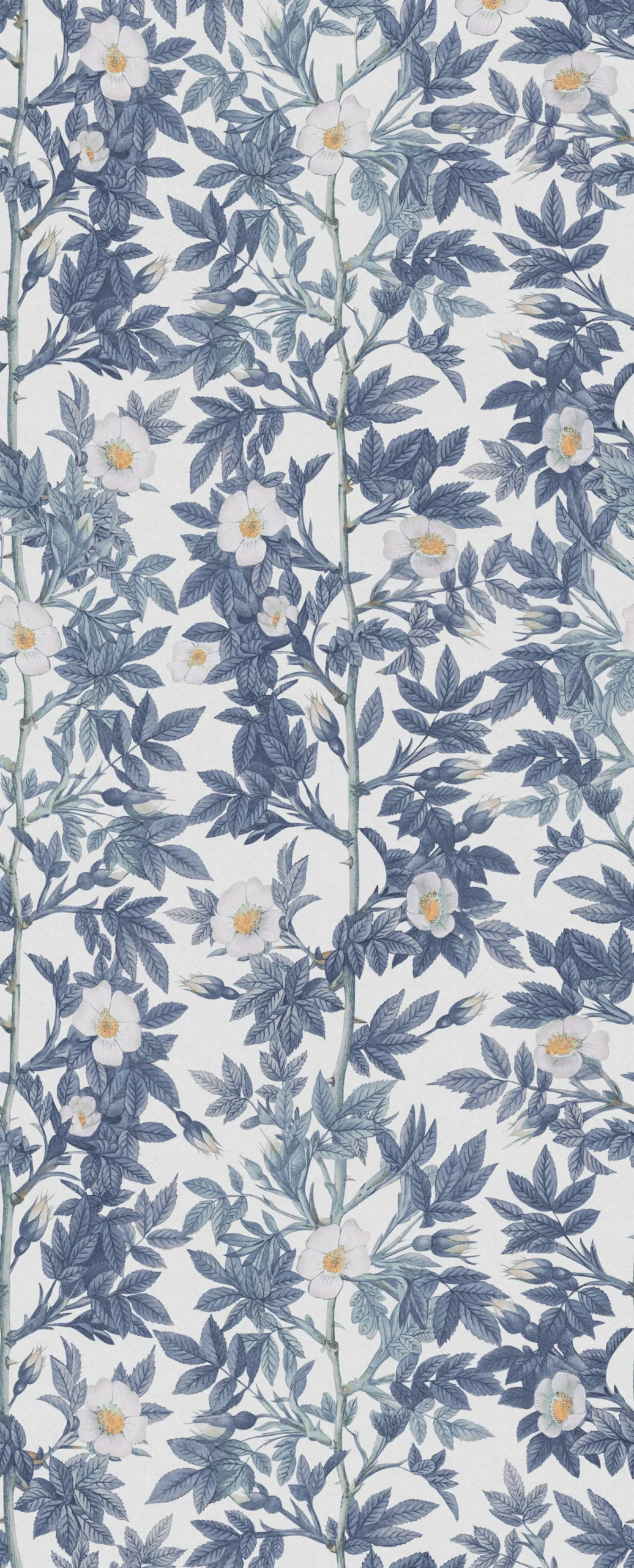 rebelwalls-rose-hip-blue-r18717-flat Rose Hip Blue Cottage Core Rebel Walls Wallpaper R18717