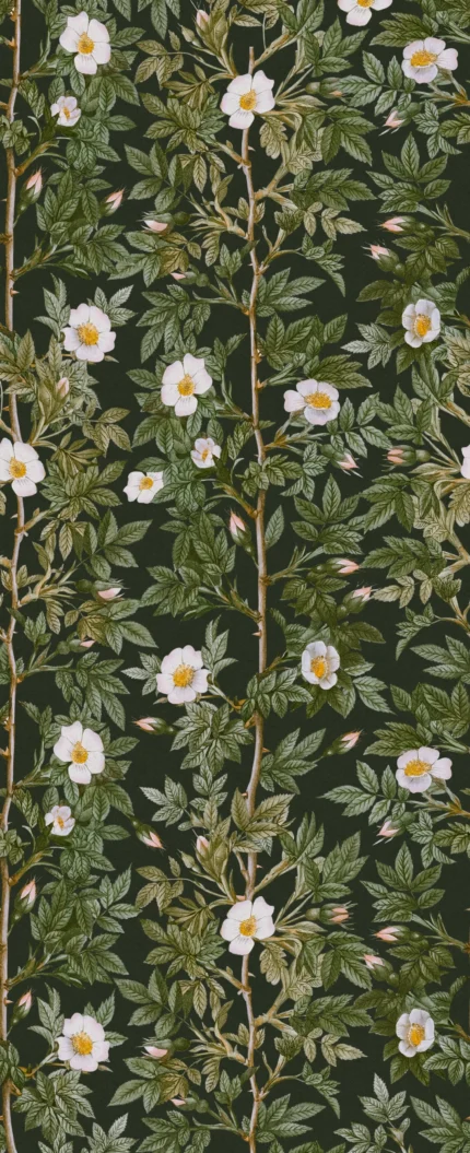 Rose Hip Midnight