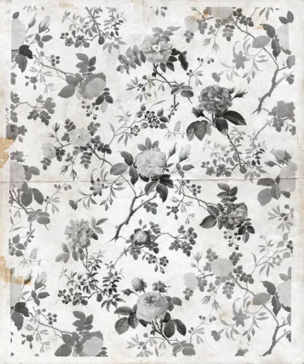 Rosegarden, Black