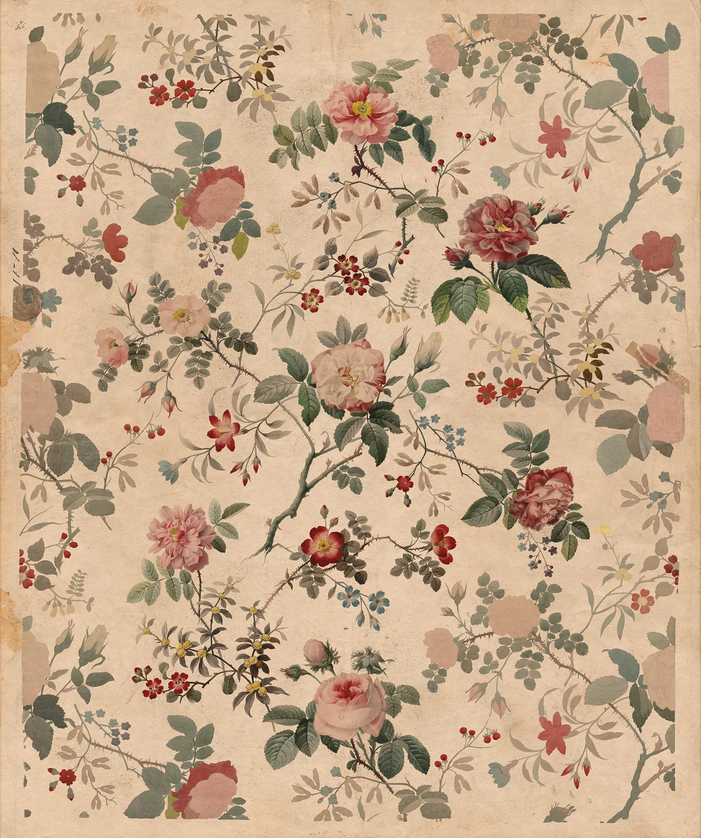 rebelwalls-rosegarden-r13071-flat Rosegarden Greenhouse Rebel Walls Wallpaper R13071