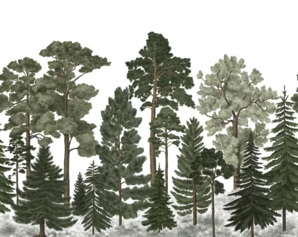 Scandinavian Bellewood