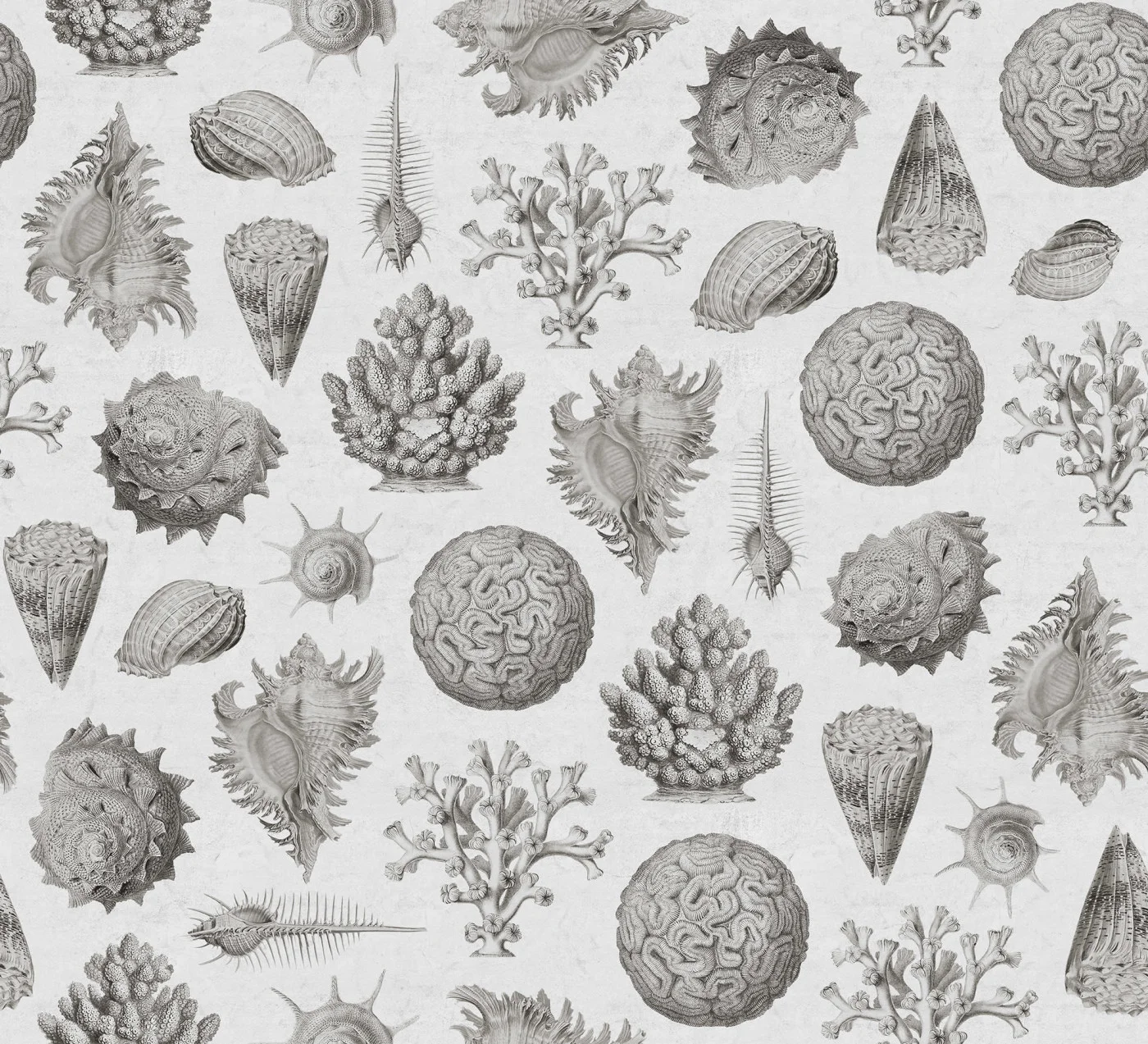 rebelwalls-seashells-clay-r19663-flat Seashells Clay Pops Rebel Walls Wallpaper R19663