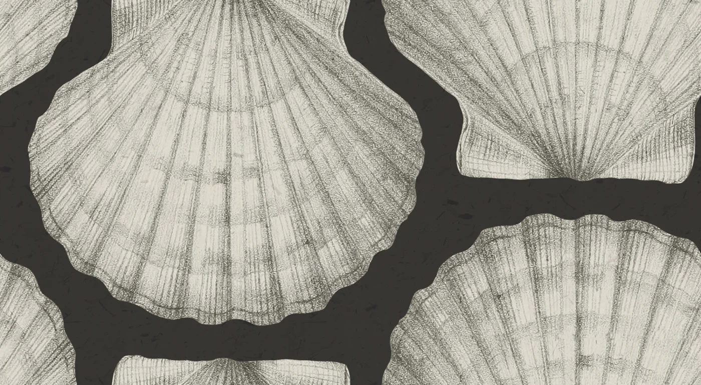 rebelwalls-shells-graphite-r19644-flat Shells Graphite Pops Rebel Walls Wallpaper R19644