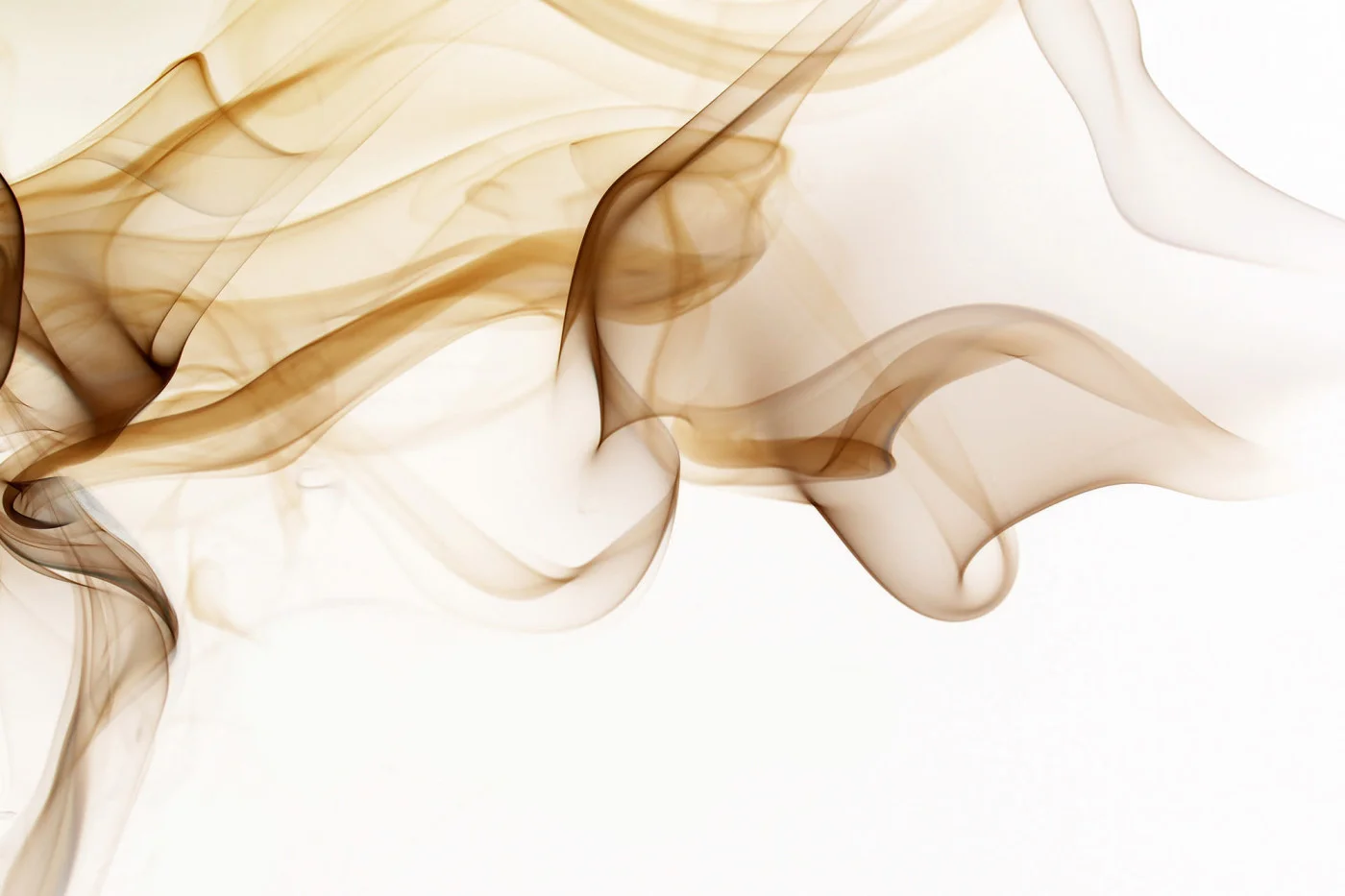 rebelwalls-smoke-r11891-flat Smoke - Image 1