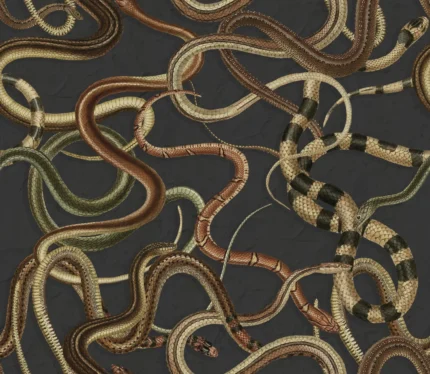 Snakey Black