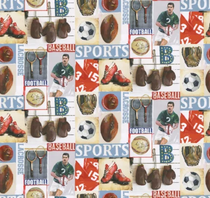Sports Junkie