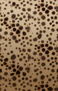 Color Variation