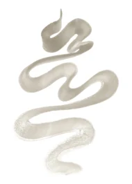 Color Variation