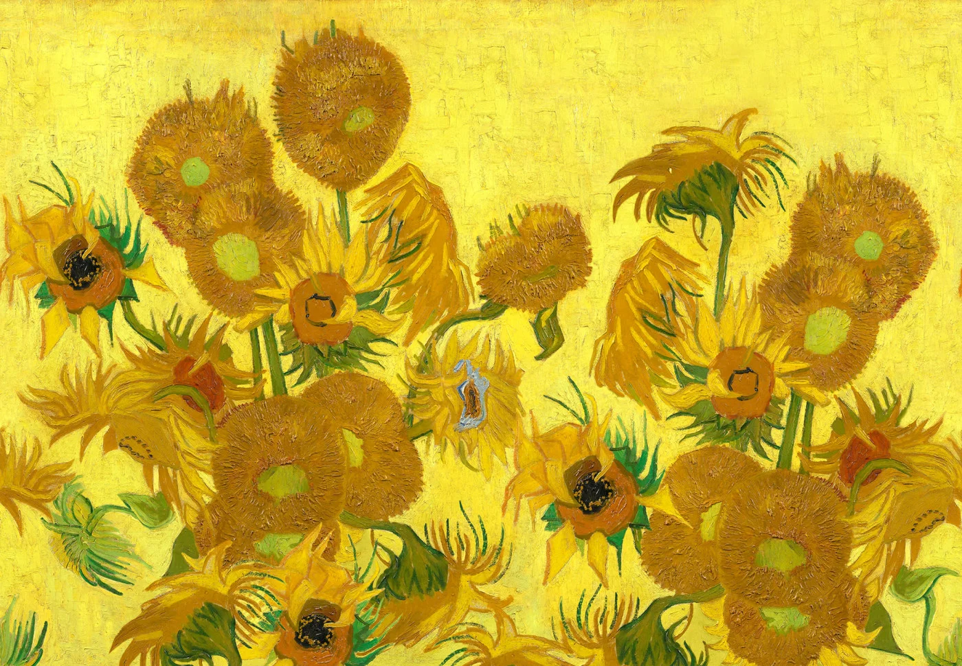 rebelwalls-sunflowers-repeatable-yellow-r20560-flat Sunflowers Repeatable, Yellow First Rebels Rebel Walls Wallpaper R20560