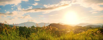 Sunrise Hills – Yellow