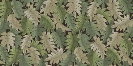 Swirling Fern, Green