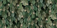 Color Variation