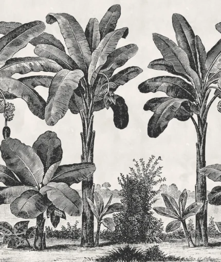 Timeless Tropics, Black & White