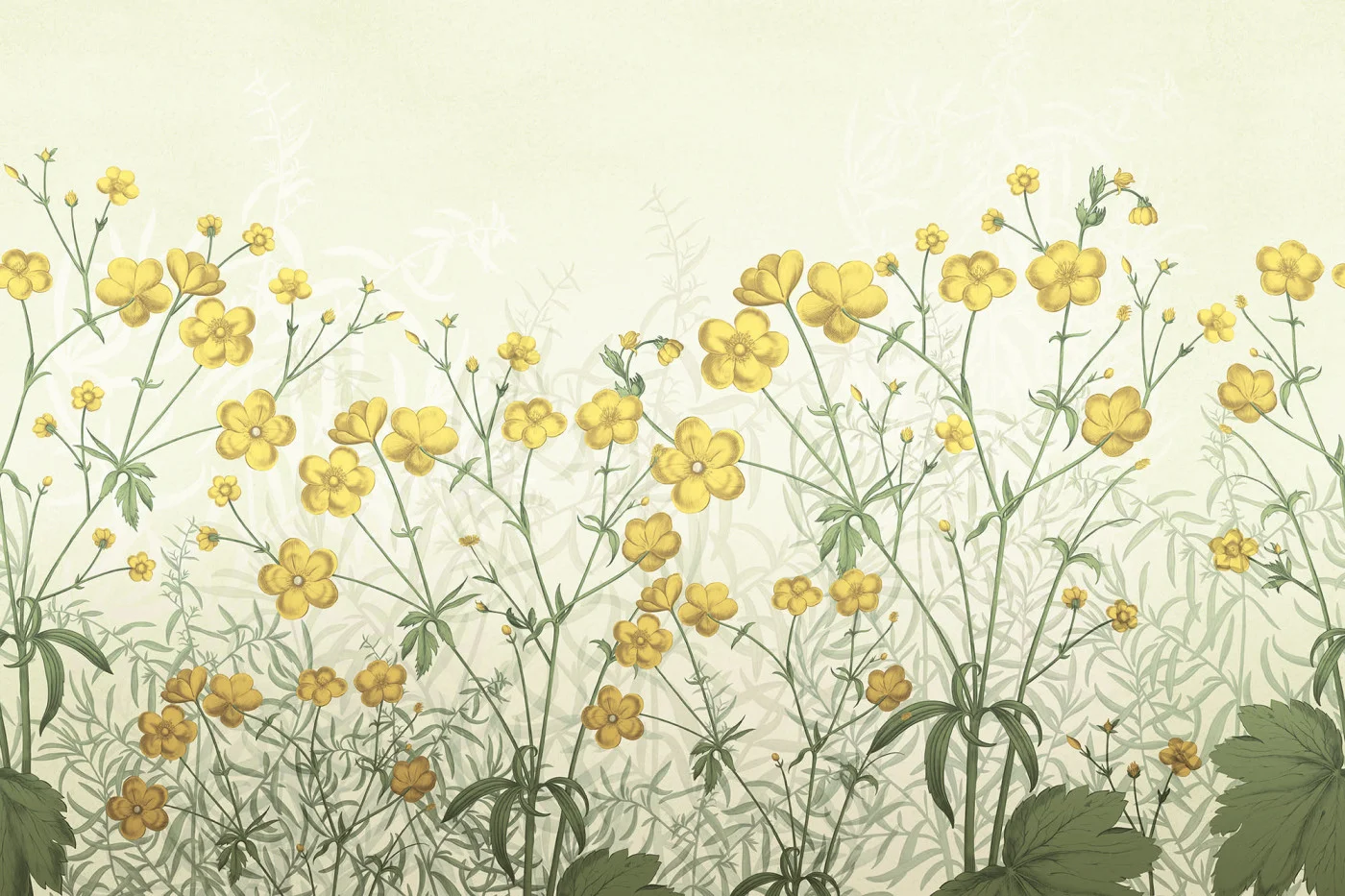 rebelwalls-vintage-buttercups-yellow-r20352-flat Vintage Buttercups, Yellow Pops Rebel Walls Wallpaper R20352