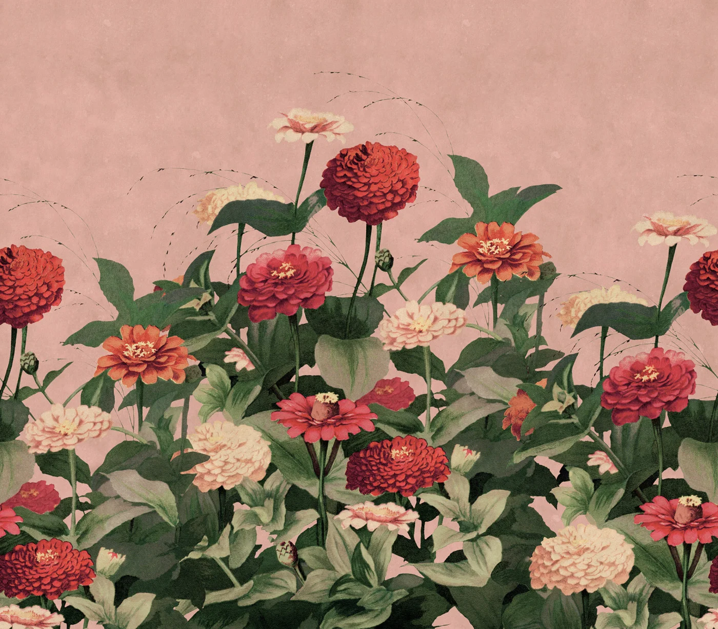 rebelwalls-vintage-meadow-pink-r21416-flat Vintage Meadow, Pink Pops Rebel Walls Wallpaper R21416