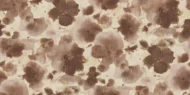 Color Variation
