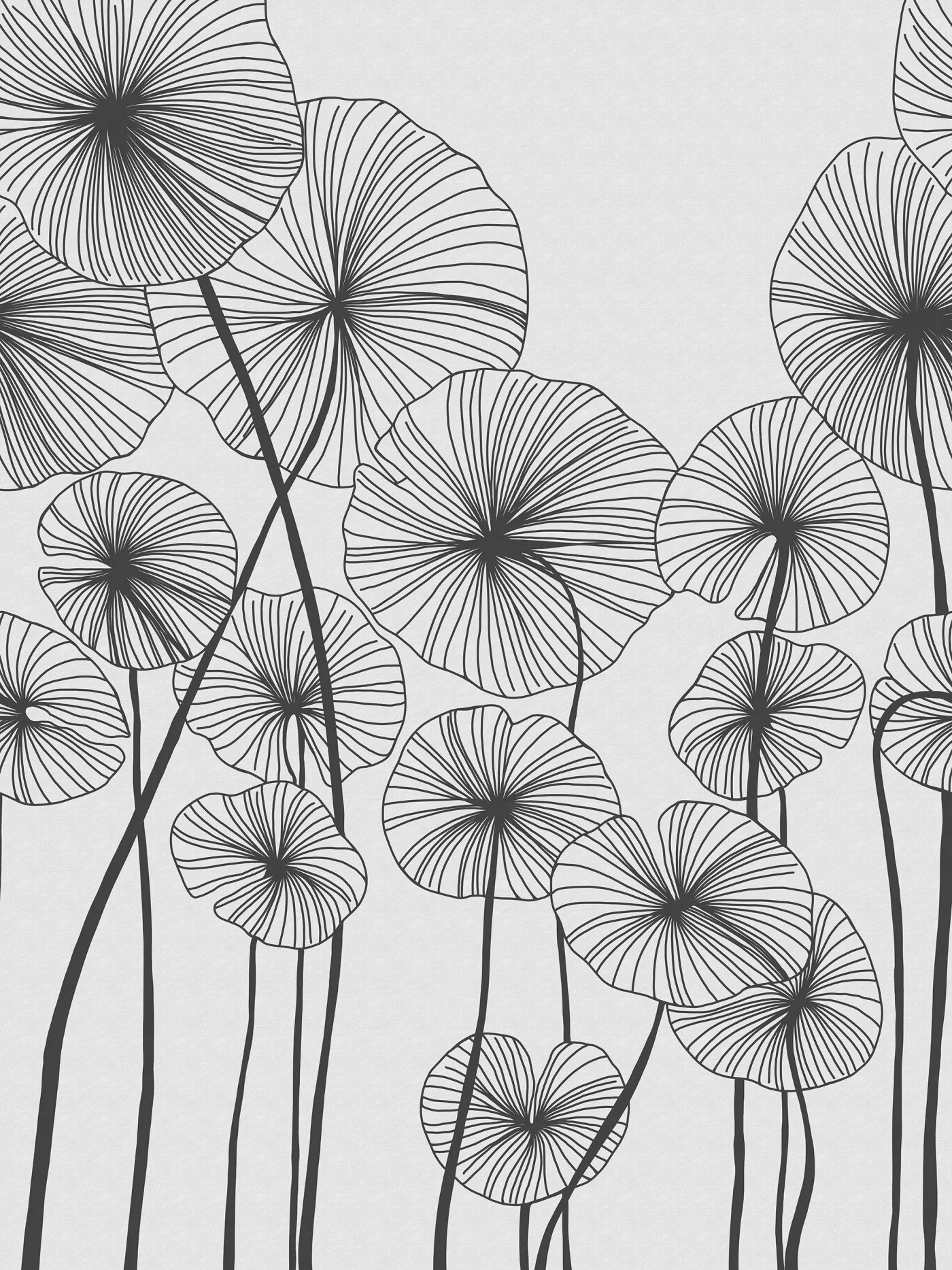 rebelwalls-waterlily-forest-black-white-r20681-flat Waterlily Forest, Black & White - Image 1