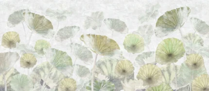 Waterlily