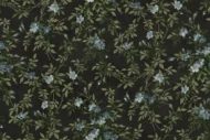 Color Variation