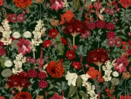 Color Variation