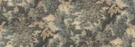 Color Variation
