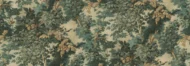 Color Variation