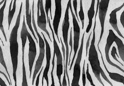 Zebra Stripes Graphite