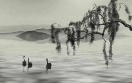 Zen Lake