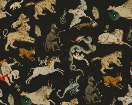 Zodiac	Night