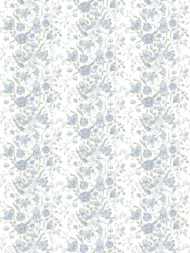 Sky Blue Modern