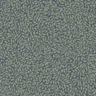 Color Variation