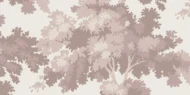 Color Variation