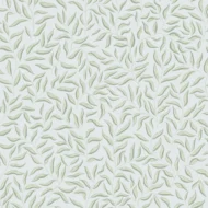 Color Variation