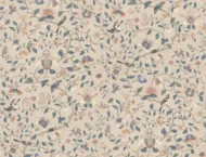 Color Variation