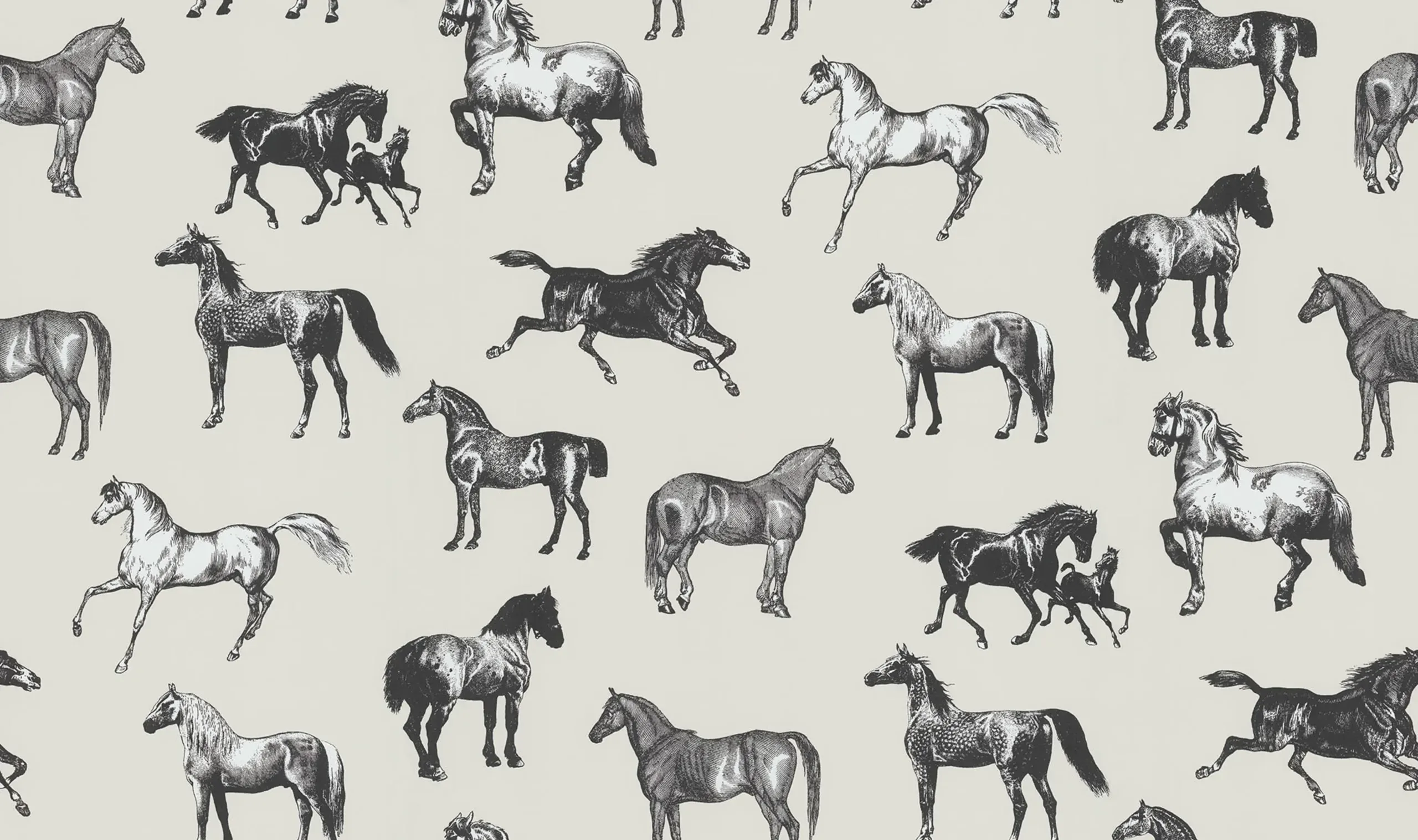 Colette Graphite Small Pattern Mural by Sandberg