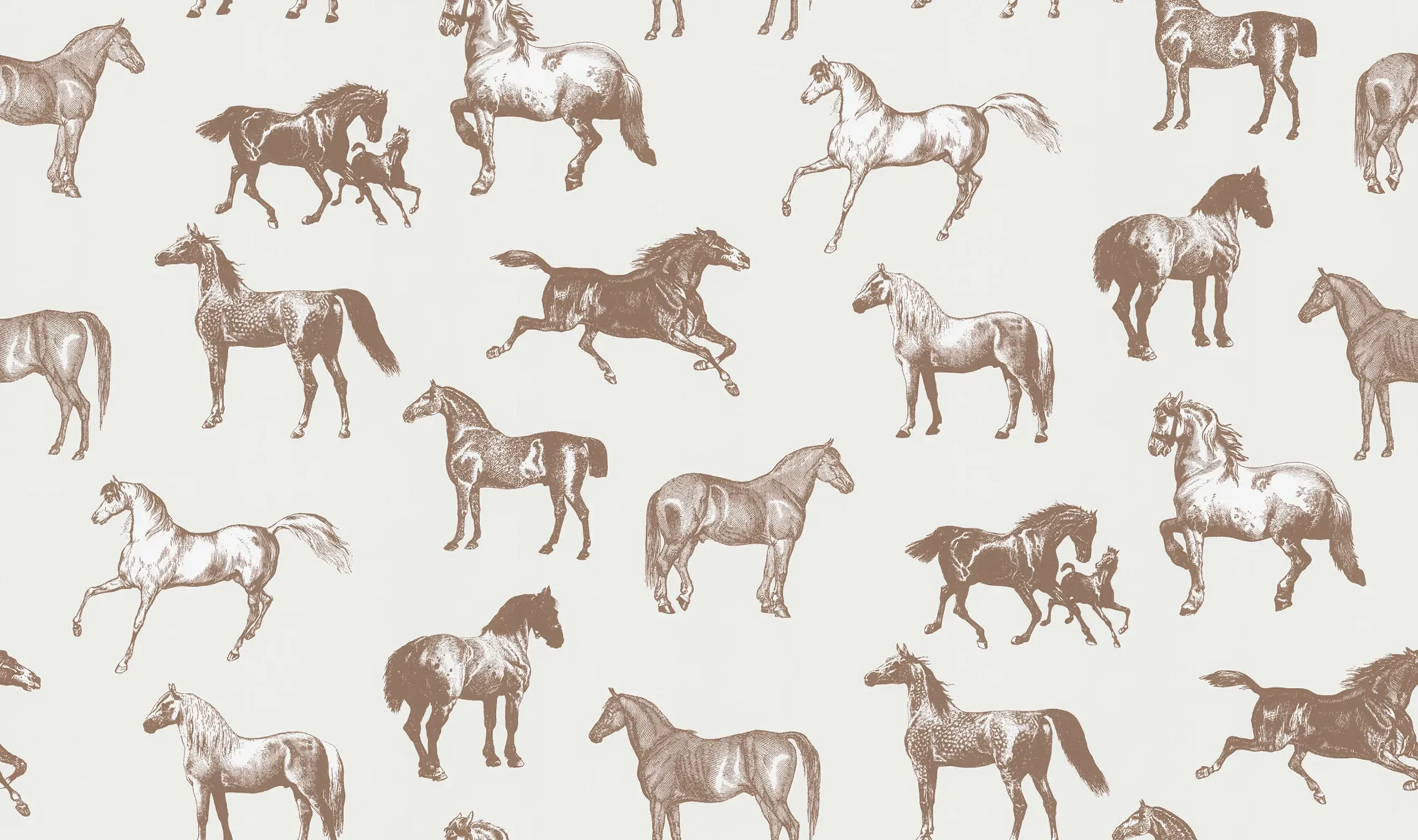 Colette Brown Small Pattern Mural by Sandberg