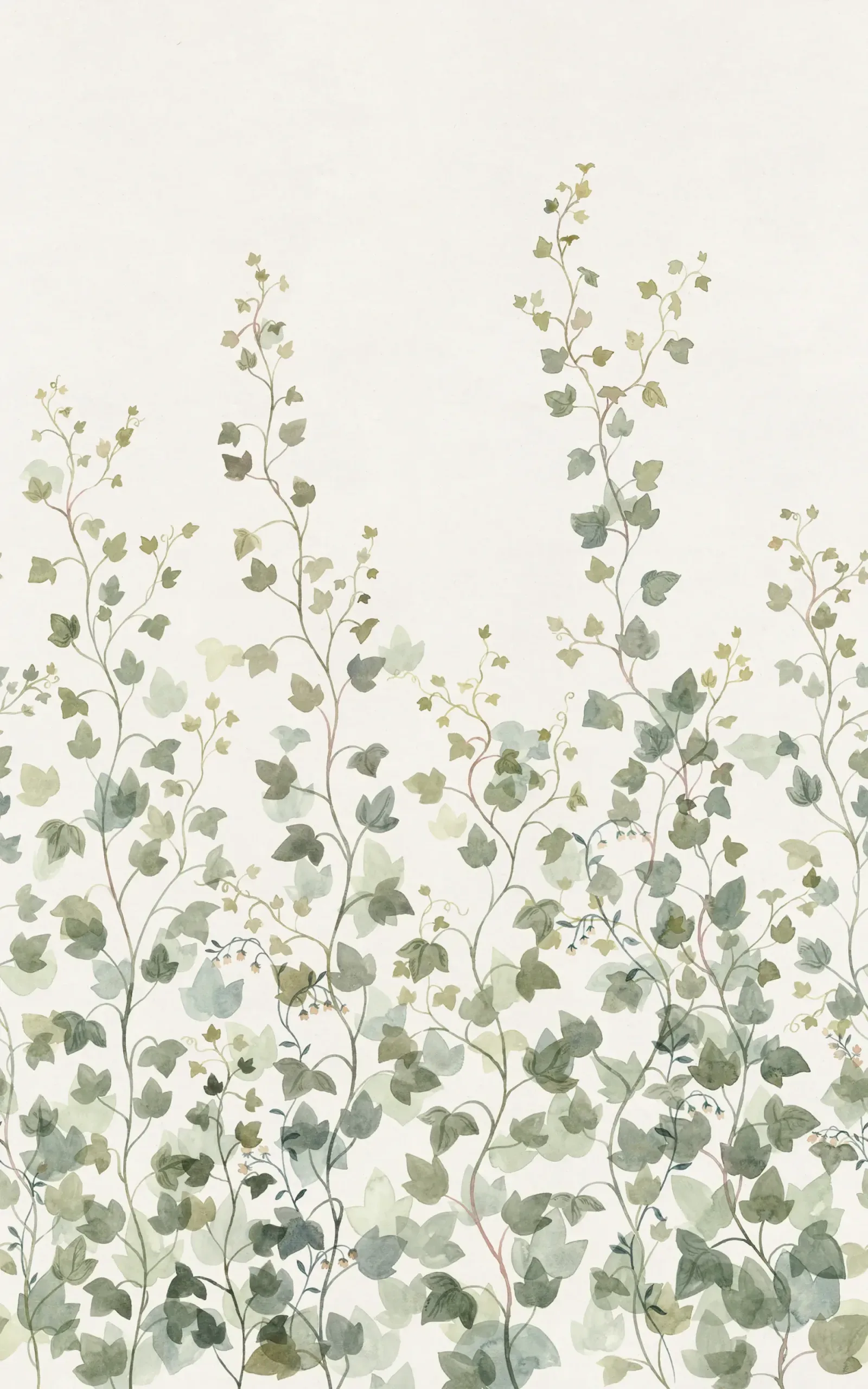 Ivy Green Botanical Mural by Sandberg