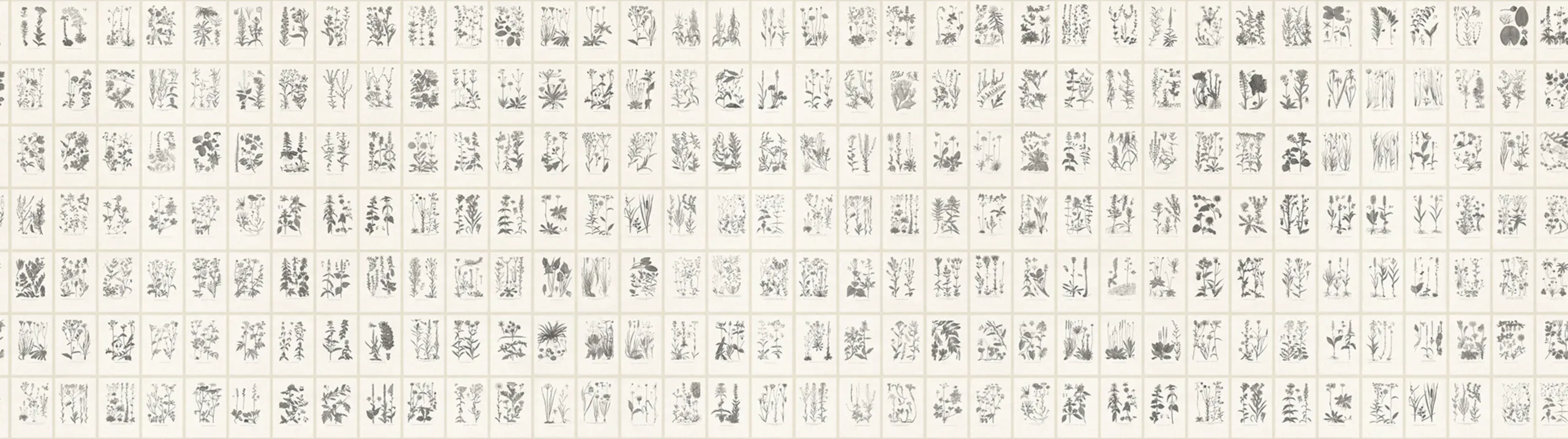 Botanica Graphite Large Pattern Mural by Sandberg
