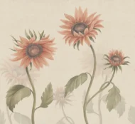 Color Variation