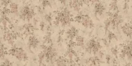 Color Variation