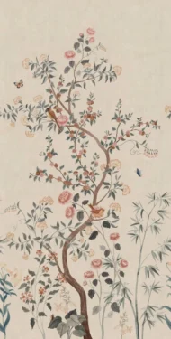 Color Variation